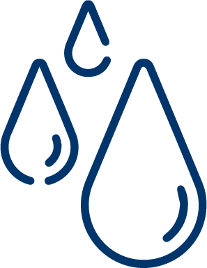 Asset 8
